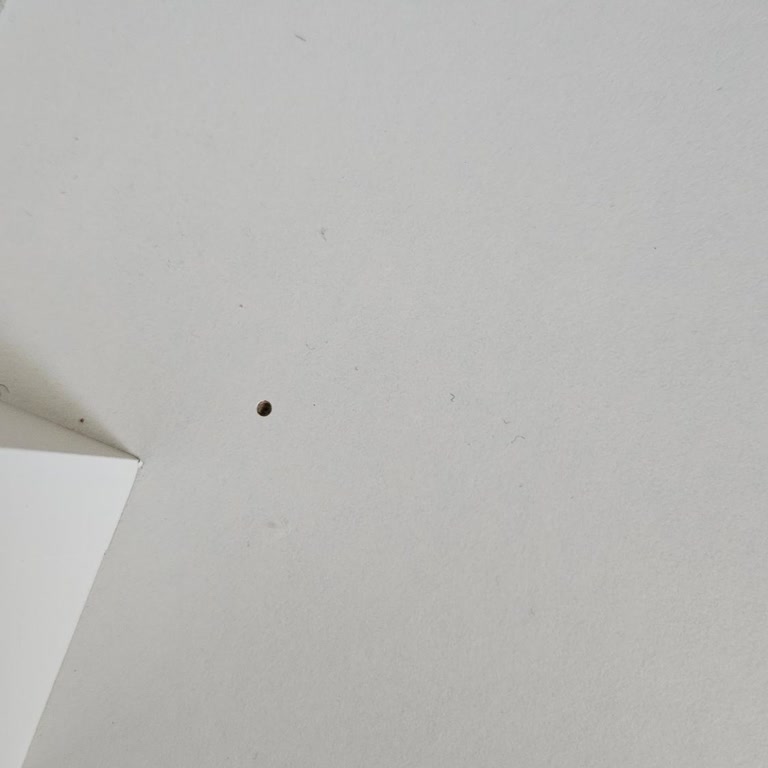 Kelebek Mobilya Antalya Aspendos Bulvarı Meydan Mağazası Mağduriyeti