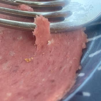 Namet Dana Macar Salam İçinden Kıl Çıktı