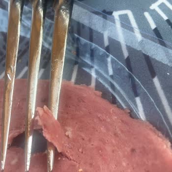 Namet Dana Macar Salam İçinden Kıl Çıktı