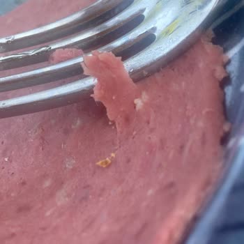 Namet Dana Macar Salam İçinden Kıl Çıktı