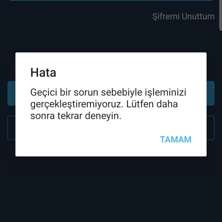 Bitexen Sisteme Giriş Yapamıyorum