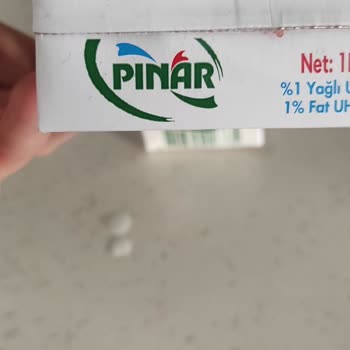 Pınar Et ve Süt Peynirimsi Tabaka Ve Süt Renginin Suya Yakın Olması