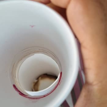 BİM Karton Bardak Altı Yok