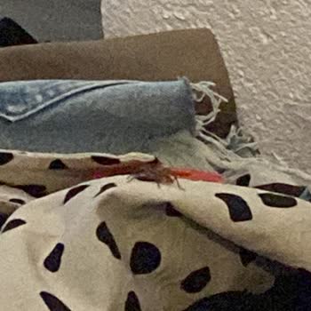 Söz Hotel (Bodrum) Memnuniyetsizliği