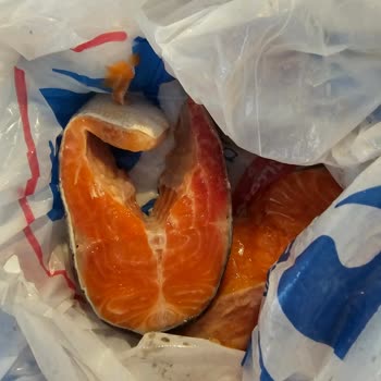 Carrefour Bozuk Balık Gönderdi