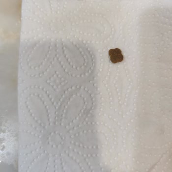 Hepsiburada Deterjan İçinde Kedi Maması