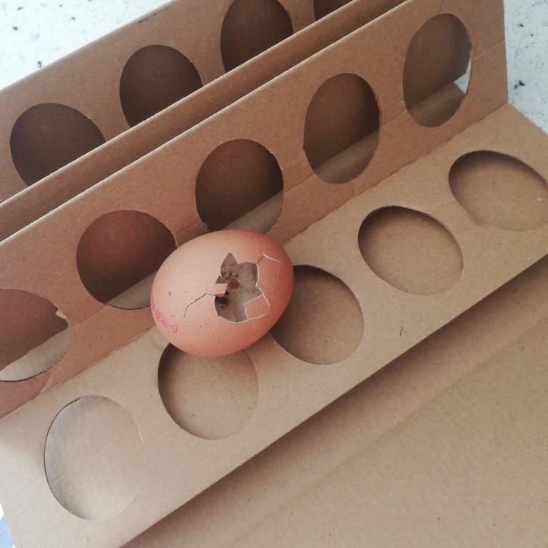 Aneban Gıda Tarım Önce De İçi Boşalmış Yumurta