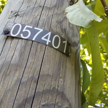 YEDAŞ Elektrik Tellerinin Ağaçlara Temas Etmesi