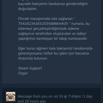 Steam-VakıfBank İade Sorunu