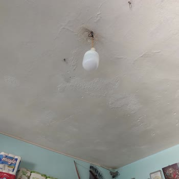 Gdz Elektrik Zararı Mı Kim Karşılayacak