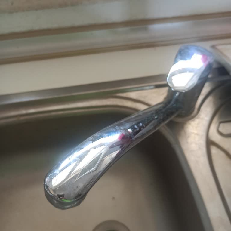 Saski Samsun Şabanoğlu Mah. Taşkelik Köyü Su Kesinti. Çözülemedi