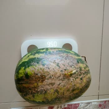 A101 9.5 Kg'luk Ürünü 15 Kg Fiyatından Satma Sı