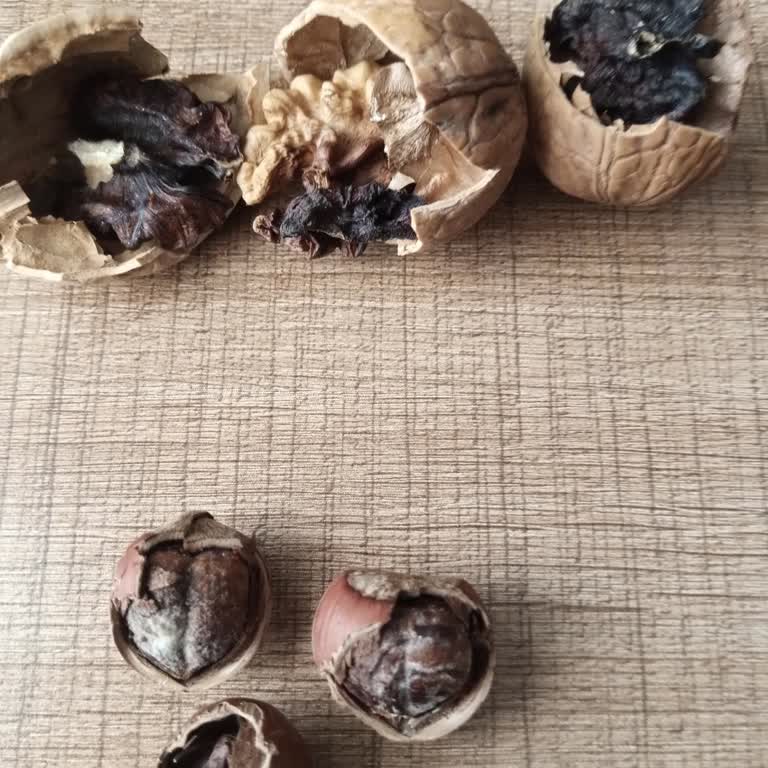 Karalök Oktay Gıda Kurtlu Ve Küflü Gıda