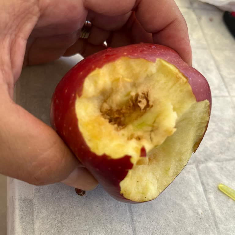 Şimşekler Market Aldığım Meyvelerin Tamamı Çürük Çıktı!