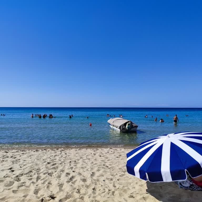 Marmaraereğlisi Belediyesi Acil Dallas Planı Kapatılmalı!