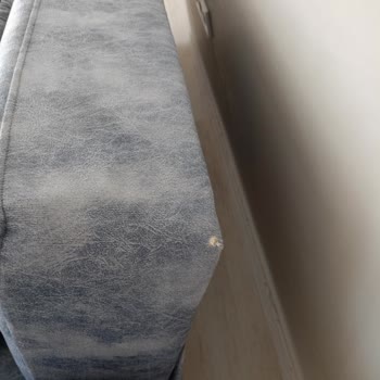 Evdiz Koltuk Rengi Ve Yırtık Ürün