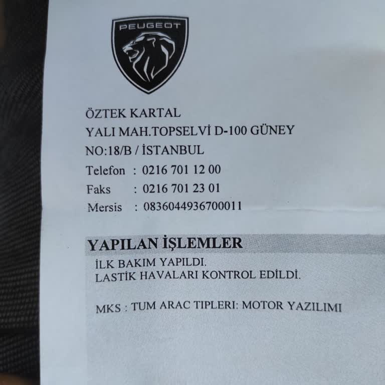 Peugeot 3008 Bakım Problemi