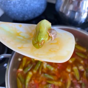 Feast İçinden Böcek Çıktı