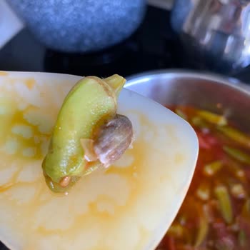 Feast İçinden Böcek Çıktı