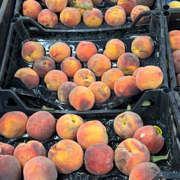 HasGross Market Hasgross'ta Her Şey Çürük