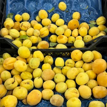 HasGross Market Hasgross'ta Her Şey Çürük