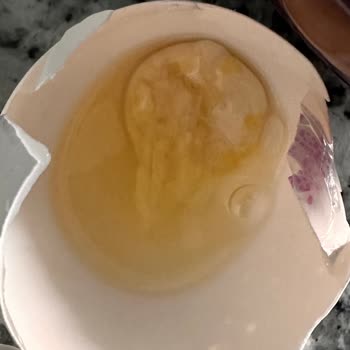 A101'de Satılan Keskinoğlu Yumurtadan Civciv Oluşumu Çıktı 🤮