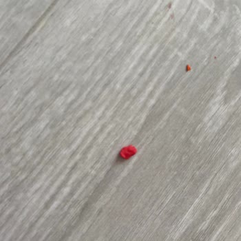 LCW Den Aldığım Crafy Fun Dough Oyun Hamuru