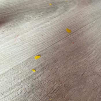 LCW Den Aldığım Crafy Fun Dough Oyun Hamuru