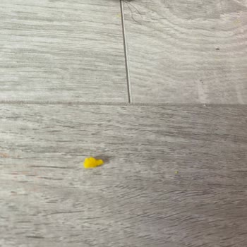 LCW Den Aldığım Crafy Fun Dough Oyun Hamuru