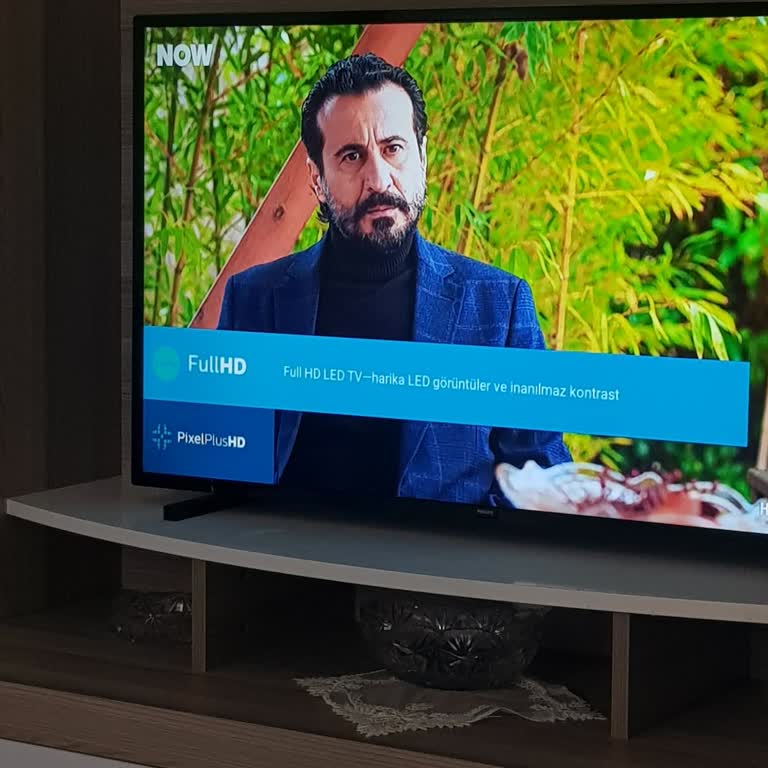 PHILIPS TV Philips Kronik Arıza