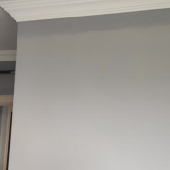 Yeni Aldığım Evin Rezil Görüntüsü Marshall Boyanın Mağduriyeti