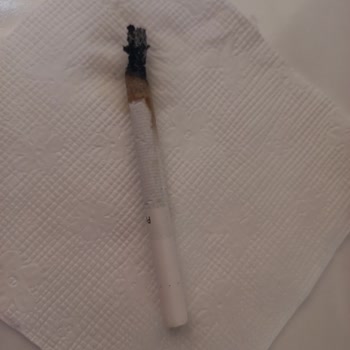 Philip Morris Sigara İçinden Odun Çıkıyor