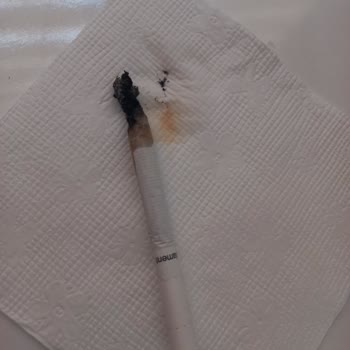 Philip Morris Sigara İçinden Odun Çıkıyor