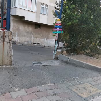 Maltepe Belediyesi Pak Girişi Mantar