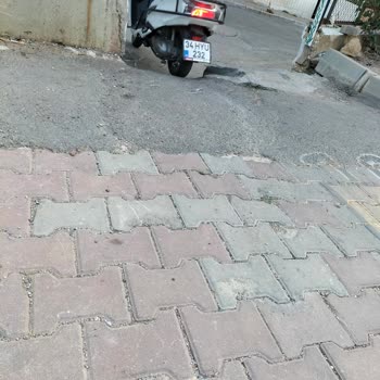 Maltepe Belediyesi Pak Girişi Mantar