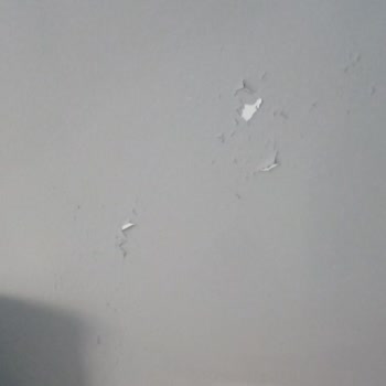 Marshall Maximum Boya İle Yaşanan Sorun