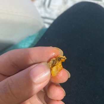 Superfresh Dondurulmuş Patates Kahverengileşmiş Ve Kötü Kokuyordu!