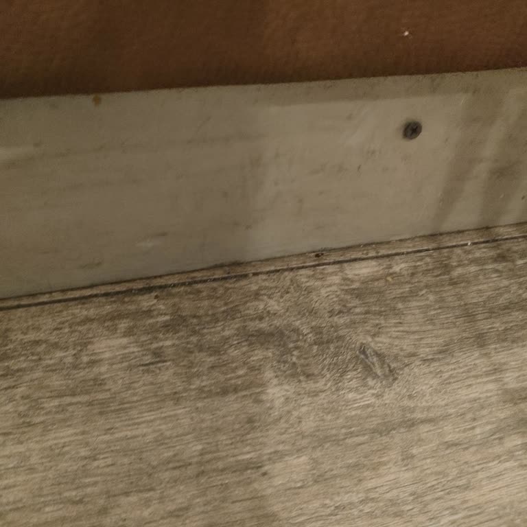 Vadi İstanbul AVM Vadi İstanbul Böcek Yuvası