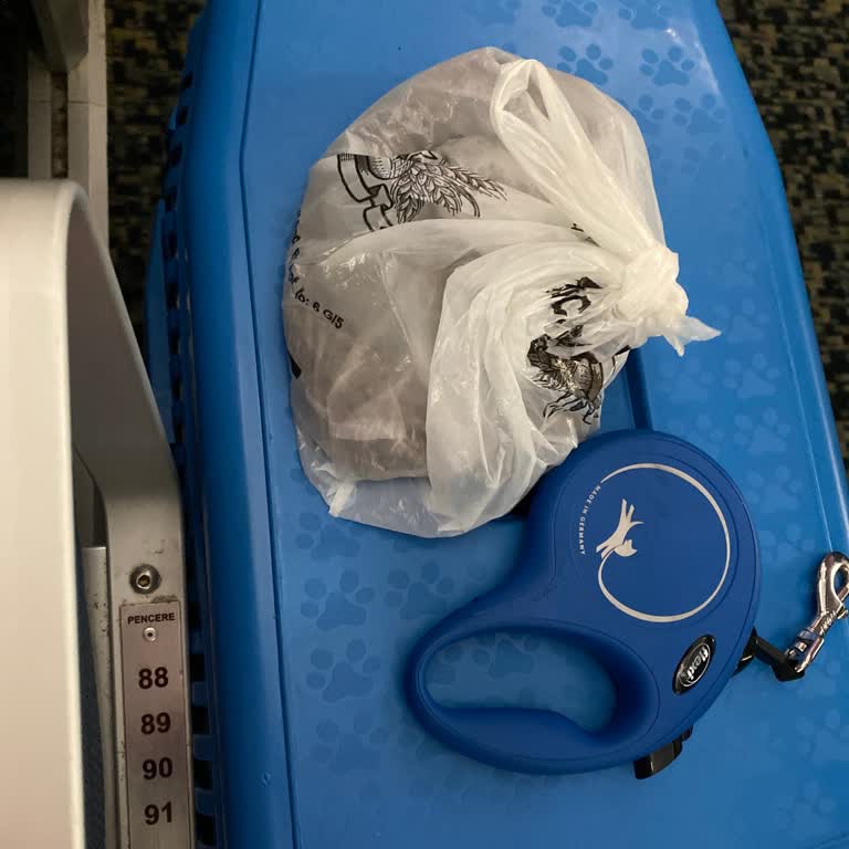 İDO Evcil Hayvanımın Yolculukta Maruz Kaldığı Haksız Muamele