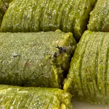 Hacı Bekir Künç Gaziantepli Fıstıklı Burma Alışverişinde Beklenmedik Sürpriz