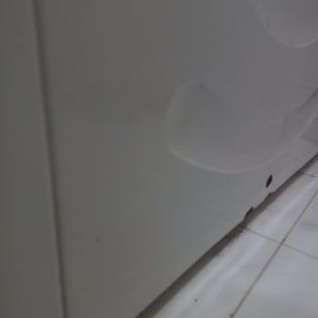 Profilo Çamaşır Makinesi Paslanmaz Sorunu