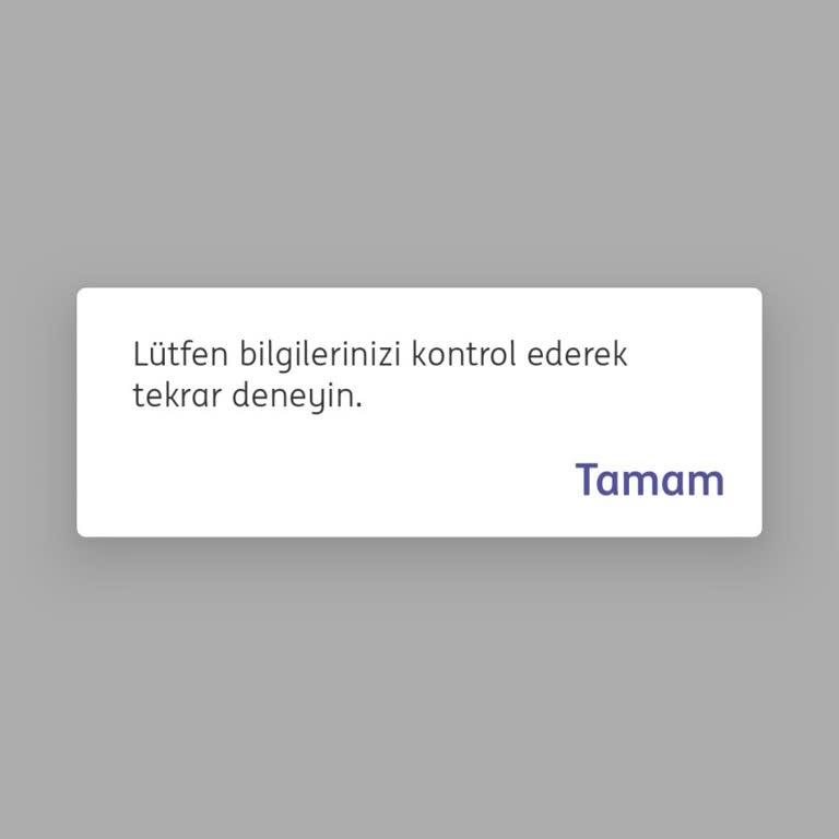 ING Ödeme İçin IBAN No