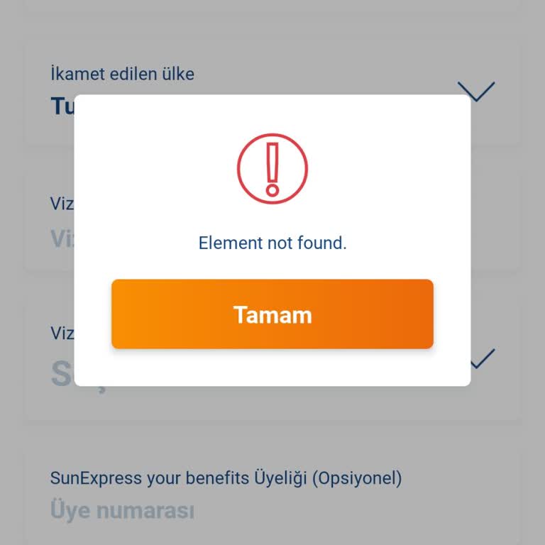 Sunexpress Online Check-in Uyarısı