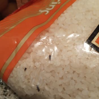 Şok Market Pirinci Böcek Dolu