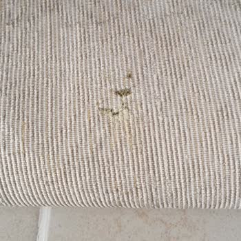 Halı Konsept (hali.konsept) Aldığım İki Adet Halı Kirli Geldi