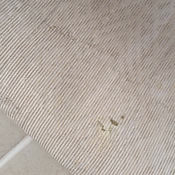 Halı Konsept (hali.konsept) Aldığım İki Adet Halı Kirli Geldi