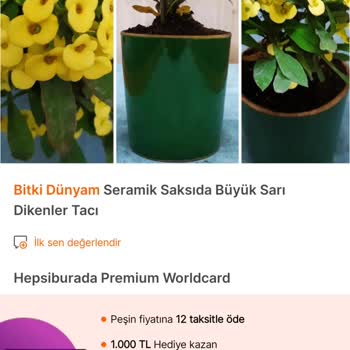 Bitki Dünyam Görseldekinin Asla Aynısı Değil