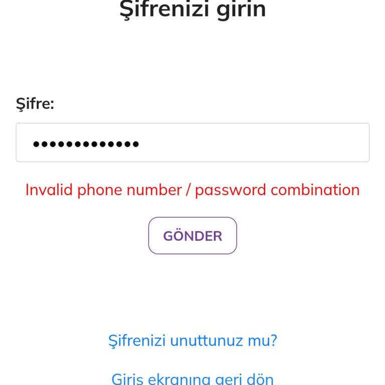 Pi Network Telefon Numarası Ya Da Şifre Yanlış Diyor Ama Bilgilerim Doğru