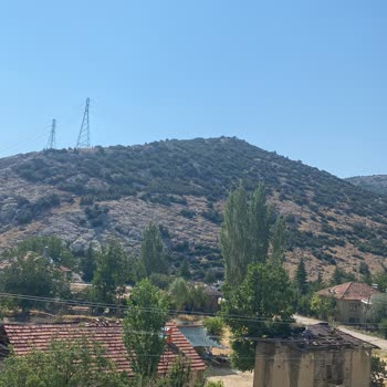 Elmalı Belediyesi (Antalya) Ve Zabıtası Şikayetleri Dikkate Almıyor