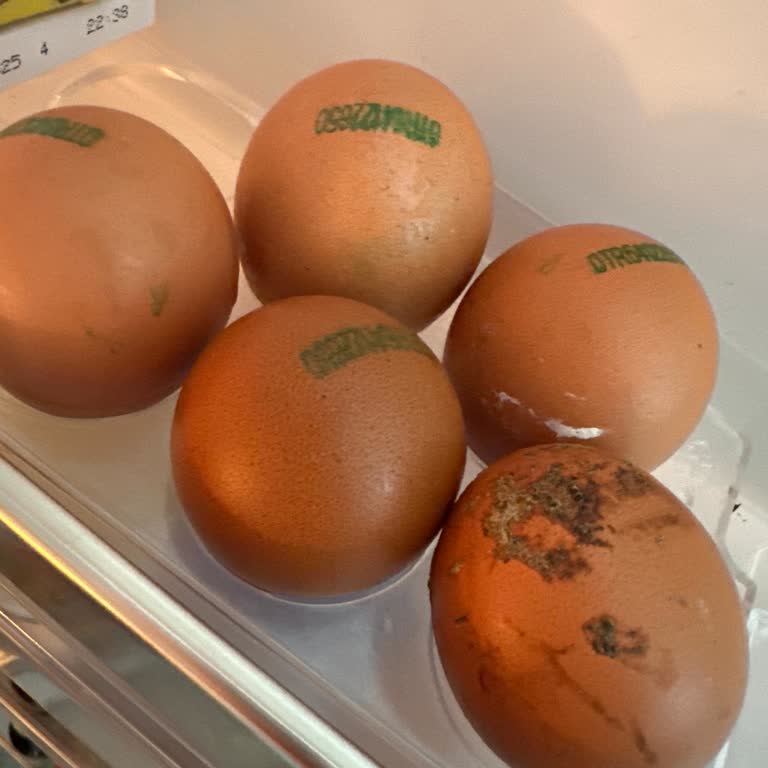 Tire Organik Gıda Ürünleri Tire Koop Yumurta 🥚